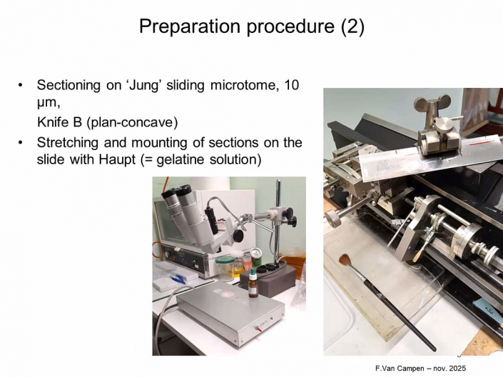 Praeparation_von_Hunde_und_Katzen-Embryos__Beitrrag_und_Foto_Frank_Van_Campen_04
