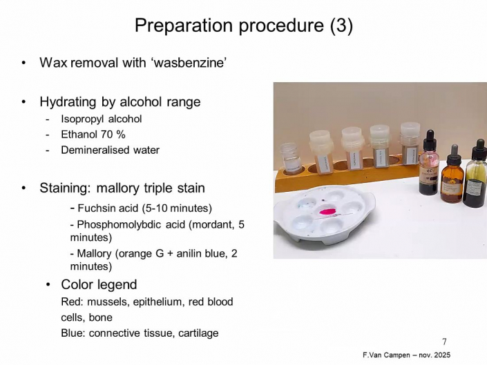 Praeparation_von_Hunde_und_Katzen-Embryos__Beitrrag_und_Foto_Frank_Van_Campen_05