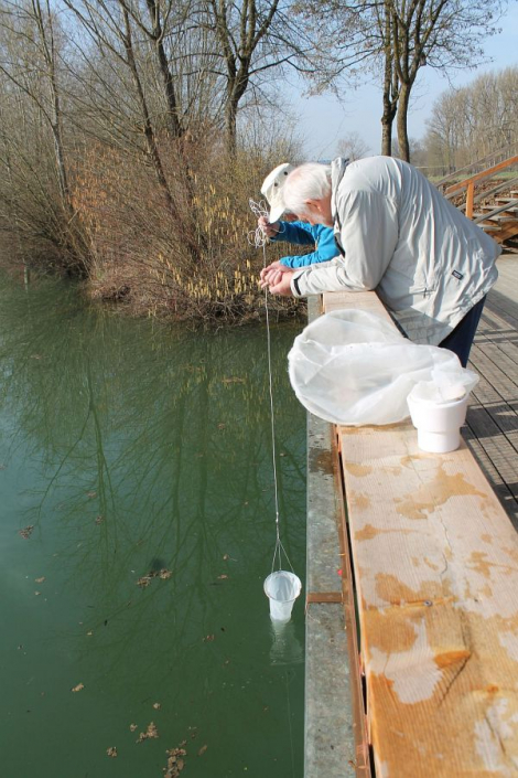 Aileswasensee-Maerz-2026_2