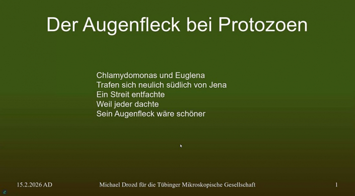 Augenfleck_bei_Protozoen__Beitrag_Michael_Drozd_0
