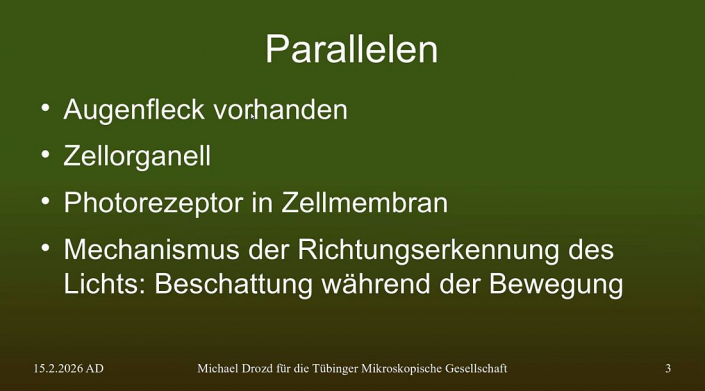 Augenfleck_bei_Protozoen__Beitrag_Michael_Drozd_2