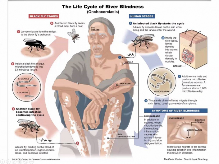 Flussblindheit-Bekaempfung_in_Aethioien__Bericht_Alfons_Renz_04