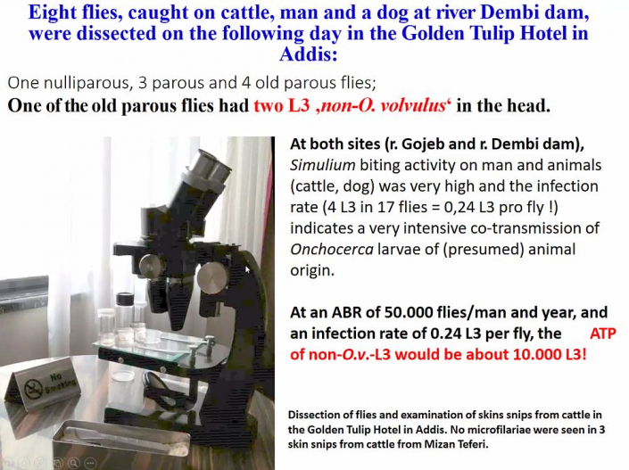 Flussblindheit-Bekaempfung_in_Aethioien__Bericht_Alfons_Renz_15