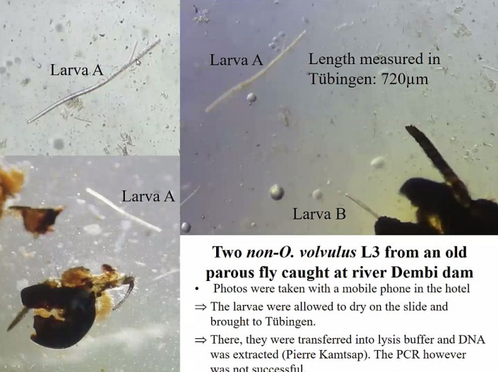 Flussblindheit-Bekaempfung_in_Aethioien__Bericht_Alfons_Renz_17