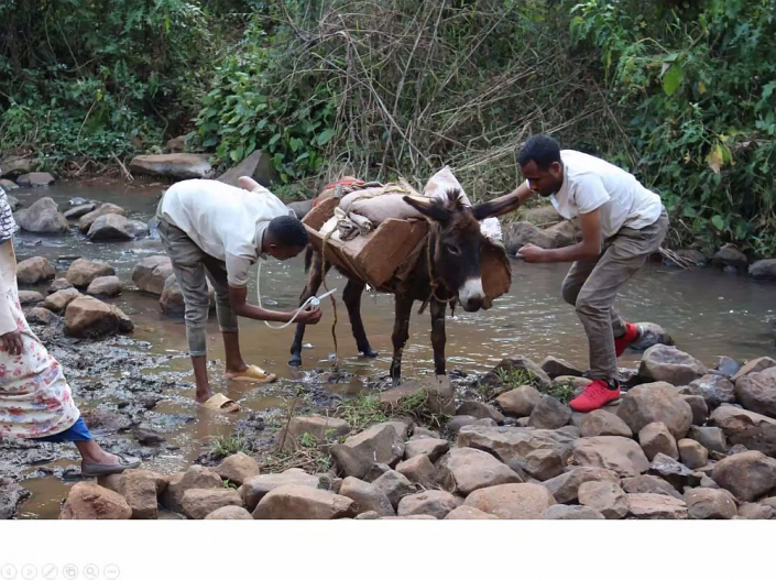 Flussblindheit-Bekaempfung_in_Aethioien__Bericht_Alfons_Renz_25