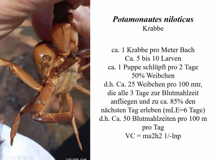 Flussblindheit-Bekaempfung_in_Aethioien__Bericht_Alfons_Renz_34