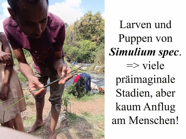 Flussblindheit-Bekaempfung_in_Aethioien__Bericht_Alfons_Renz_40