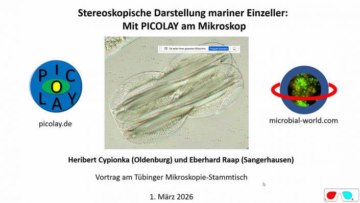 Stereoskopische_Darstellung_mit_PICOLAY__Beitrag_und_Fotos_Heribert_Cyprionka_00
