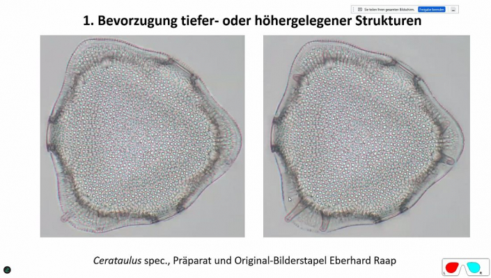 Stereoskopische_Darstellung_mit_PICOLAY__Beitrag_und_Fotos_Heribert_Cyprionka_02