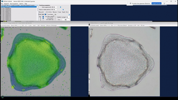 Stereoskopische_Darstellung_mit_PICOLAY__Beitrag_und_Fotos_Heribert_Cyprionka_03