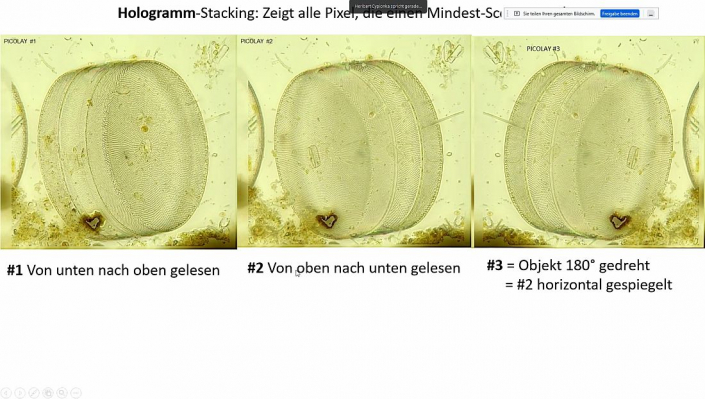 Stereoskopische_Darstellung_mit_PICOLAY__Beitrag_und_Fotos_Heribert_Cyprionka_07