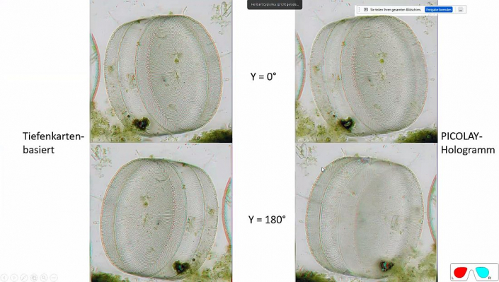 Stereoskopische_Darstellung_mit_PICOLAY__Beitrag_und_Fotos_Heribert_Cyprionka_08