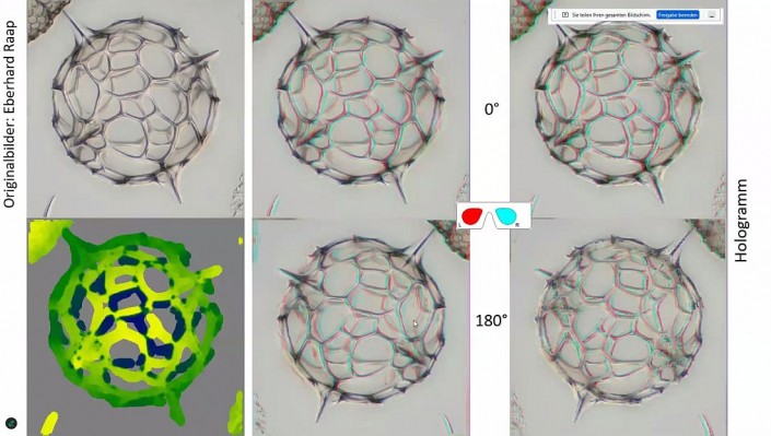 Stereoskopische_Darstellung_mit_PICOLAY__Beitrag_und_Fotos_Heribert_Cyprionka_09