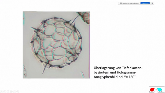 Stereoskopische_Darstellung_mit_PICOLAY__Beitrag_und_Fotos_Heribert_Cyprionka_10