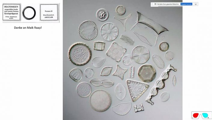 Stereoskopische_Darstellung_mit_PICOLAY__Beitrag_und_Fotos_Heribert_Cyprionka_11