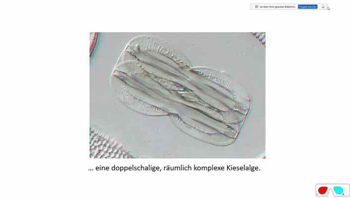 Stereoskopische_Darstellung_mit_PICOLAY__Beitrag_und_Fotos_Heribert_Cyprionka_12