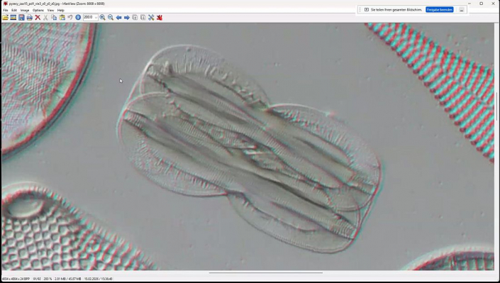 Stereoskopische_Darstellung_mit_PICOLAY__Beitrag_und_Fotos_Heribert_Cyprionka_13