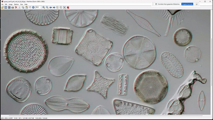 Stereoskopische_Darstellung_mit_PICOLAY__Beitrag_und_Fotos_Heribert_Cyprionka_14