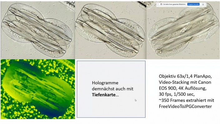 Stereoskopische_Darstellung_mit_PICOLAY__Beitrag_und_Fotos_Heribert_Cyprionka_16