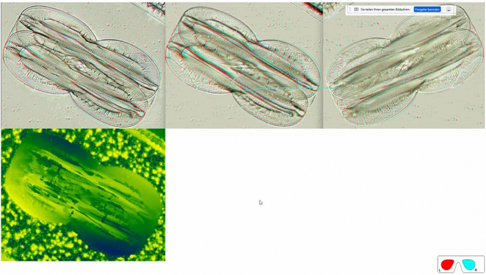 Stereoskopische_Darstellung_mit_PICOLAY__Beitrag_und_Fotos_Heribert_Cyprionka_17