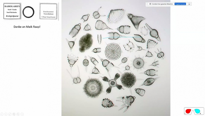 Stereoskopische_Darstellung_mit_PICOLAY__Beitrag_und_Fotos_Heribert_Cyprionka_18