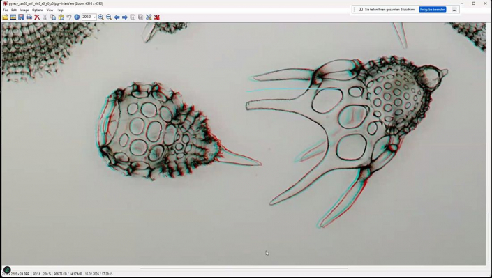 Stereoskopische_Darstellung_mit_PICOLAY__Beitrag_und_Fotos_Heribert_Cyprionka_19