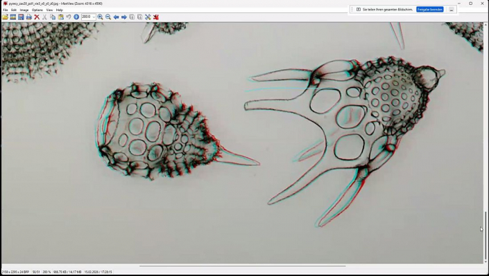 Stereoskopische_Darstellung_mit_PICOLAY__Beitrag_und_Fotos_Heribert_Cyprionka_21