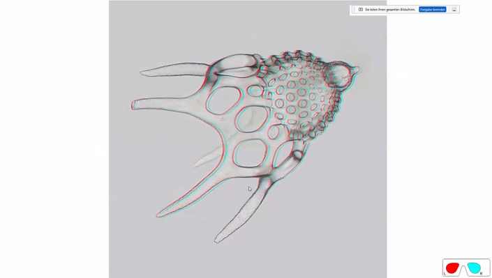 Stereoskopische_Darstellung_mit_PICOLAY__Beitrag_und_Fotos_Heribert_Cyprionka_23