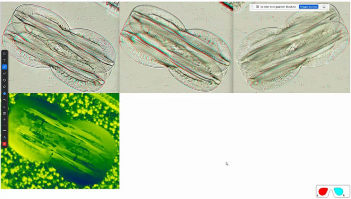 Stereoskopische_Darstellung_mit_PICOLAY__Beitrag_und_Fotos_Heribert_Cyprionka_24