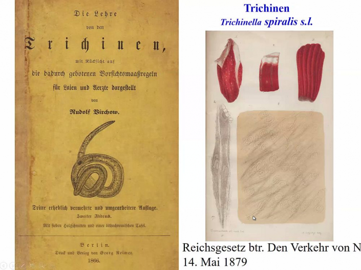 Trichinen_und_Trichinen-Mikroskope_3