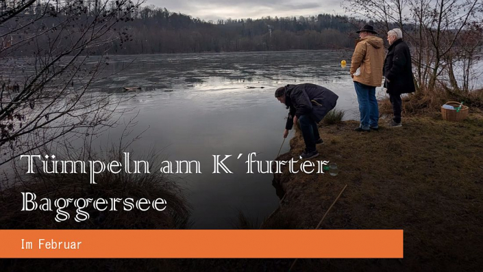Baggersee-Tuempeln_Februar-2026__Foto_Nicole_Frisch_1