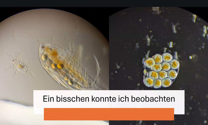 Baggersee-Tuempeln_Februar-2026__Foto_Nicole_Frisch_3