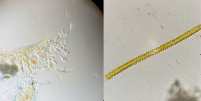 Baggersee-Tuempeln_Februar-2026__Foto_Nicole_Frisch_4