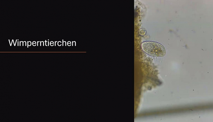 Baggersee-Tuempeln_Februar-2026__Foto_Nicole_Frisch_5