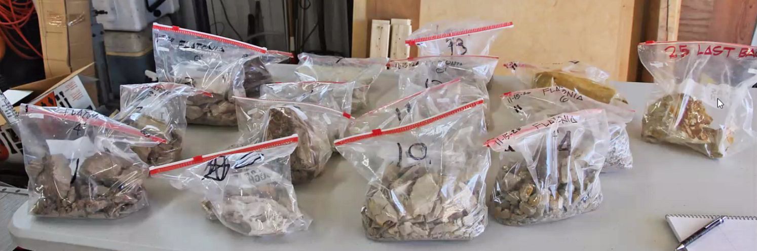 Texas-Diatomeen (Foto Anne Gleich)