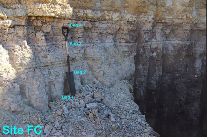 Texas-Diatomeen - Fundort