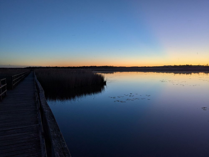Abendspaziergang Federseesteg (Foto Sebastian Kuhn)