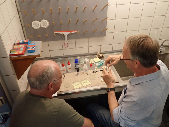 Federsee-2026 - Färben (Foto Horst Fries)
