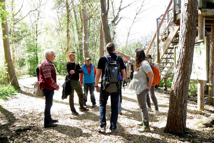 Federsee-2026 - Im Wackelwald (Foto Robert Goerke)