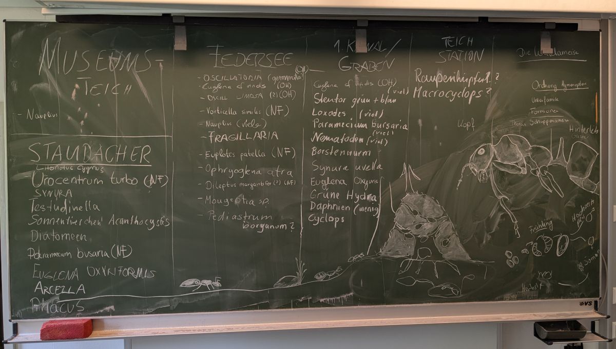 Federsee-2026 - Fundetafel