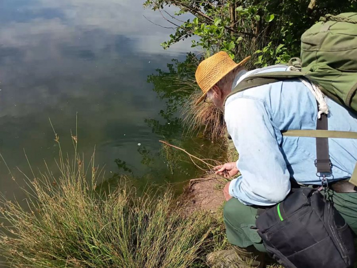 Tümpelgruppe Baggersee Juni 2026