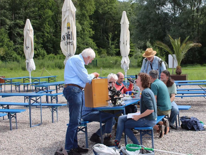 Tümpelgruppe Baggersee Juni 2026