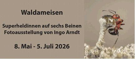 Waldameisen