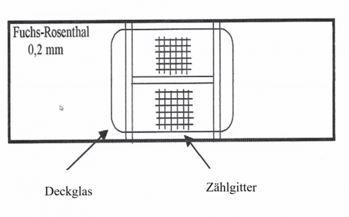 Zaehlkammern__Laengenmessung_06