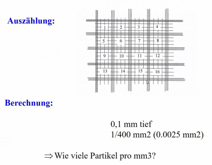 Zaehlkammern__Laengenmessung_10