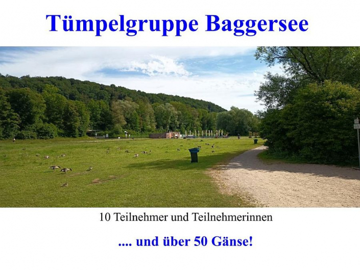 Tümpelgruppe Juni 2026 - Gänseplage