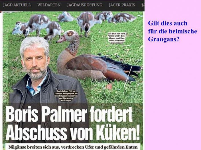 Tümpelgruppe Juni 2026 - Gänseplage