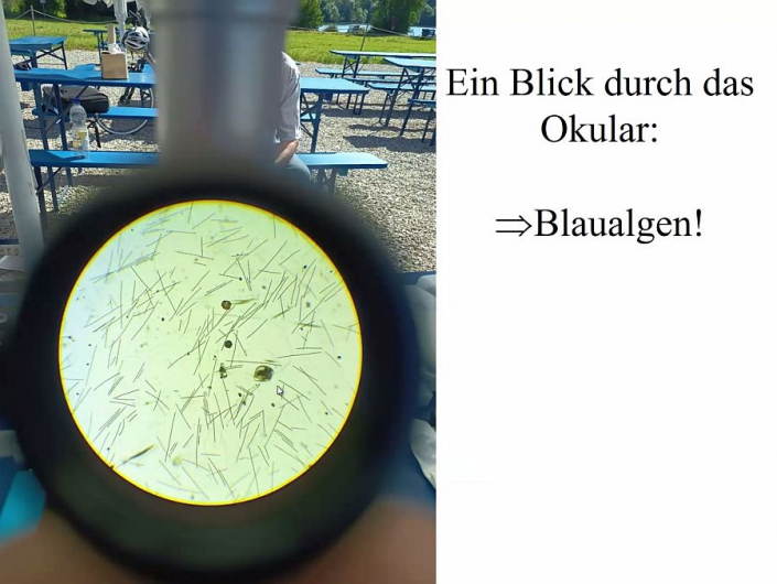 Baggersee_Juli-2026_-_Reichlich_Blaualgen__Foto_TMG