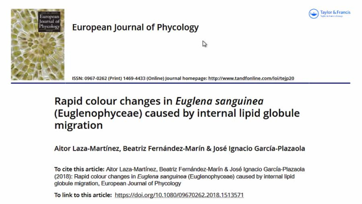 Euglena_sanguinea_Artikel