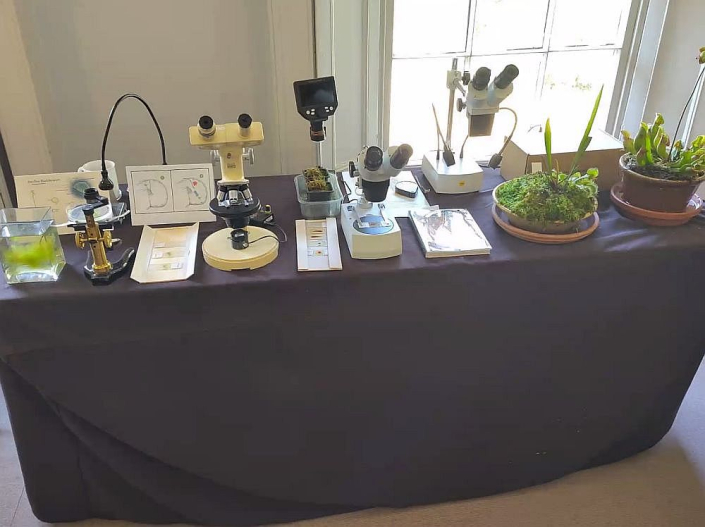 Ausstellung_im_Charles-Darwin-House__Beitrag_Chris_Thomas_09